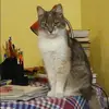 Отзыв от Алиса Шапошникова